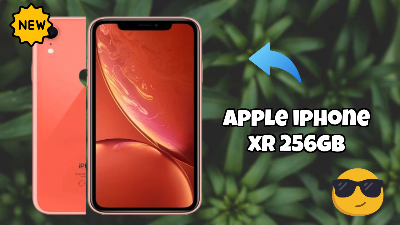 Apple IPhone XR 256GB Camera Quality: 12 MP Rear Camera Samples