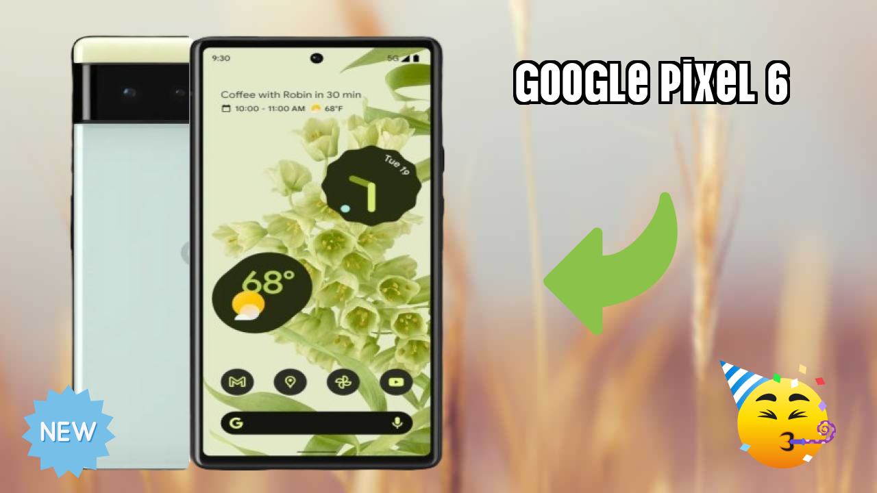 Google Pixel 6 Display Quality: 6.4 Inches (16.26 Cm) Screen Review